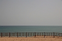 Kanary_2010 014